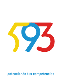 593 Formación Latinoamérica