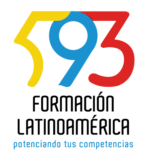 logo593